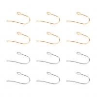 Stainless Steel Hook Earwire, fashion jewelry & for woman 