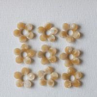 Acetate Earring Drop Component, Flower, DIY, beige, 23mm 