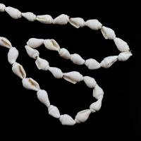Trumpet Shell Beads, Conch, 7*11~10*14mm, Approx 