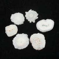 Quarz Cabochon, Natürlicher Quarz, weiß, 31*27*7~45*31*6mm, verkauft von PC