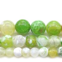 Agate Beads, polished, DIY green 