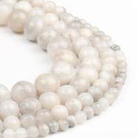 Perlas naturales ágata loca, Ágata loca, Esférico, pulido, Blanco, 98PCs/Sarta, Vendido por Sarta