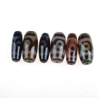 Natural Tibetan Agate Dzi Beads, Column, dark brown 