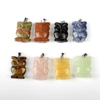 Смешанные Агата подвески, Агат, Сова, Много цветов для выбора 5ПК/сумка, продается сумка