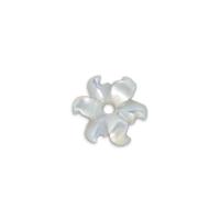 Varios componentes de cáscara, Concha de perla, Flor, pulido, hecho a mano & Bricolaje & tallado, Blanco, 5x5x1.8mm, agujero:aproximado 0.8mm, Vendido por UD