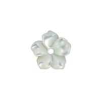 composant varié de coquillage, Nacre perles, fleur, poli, fait à la main & DIY & sculpté, blanc Environ 0.8mm, Vendu par PC