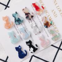 Acrylic Jewelry Pendant, Acetate, Cat, epoxy gel, DIY 