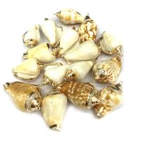 Trumpet Shell Pendant, Conch, gold color plated, DIY, mixed colors, 20*35mm~25*45mm 