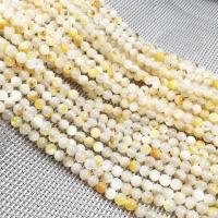 Natural Freshwater Shell Beads, Round, DIY, mixed colors, 5mm, Approx 0. 