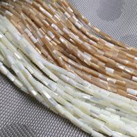 Natural Freshwater Shell Beads, Column, DIY Approx 0. 