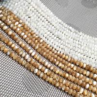 Natural Freshwater Shell Beads, Flat Round, DIY Approx 0. 
