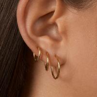 Huggie Hoop Drop Earring, Titanium Steel, Donut, gold color plated golden 