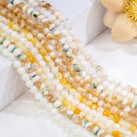 Turbanschnecken Perlen, Muschel, rund, poliert, verschiedenen Materialien für die Wahl & verschiedene Größen vorhanden, keine, ca. 0.39m/Strang, verkauft von Strang