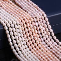 Rice Cultured Freshwater Pearl Beads, DIY Approx 14.2 Inch 