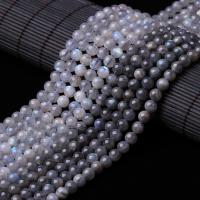 Mondstein Perlen, rund, poliert, DIY & verschiedene Größen vorhanden, keine, Länge:ca. 15 ZollInch, verkauft von Strang