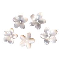 composant varié de coquillage, coquille blanche, fleur, gravé, DIY, blanc Vendu par PC
