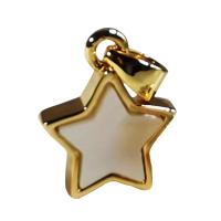 Zinc Alloy Jewelry Pendants, Shell, with Zinc Alloy, Star, 18K gold plated, DIY 
