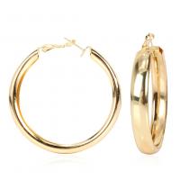 Zinc Alloy Hoop Earring, gold color plated, for woman, platinum color 