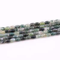 Natürliche Moosachat Perlen, Moos Achat, poliert, DIY, 4x6mm, Länge:ca. 15.4 ZollInch, 2SträngeStrang/Tasche, 65PCs/Strang, verkauft von Tasche