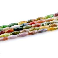 Natural Indian Agate Beads, Drum, polished, DIY, multi-colored Approx 15.4 Inch  