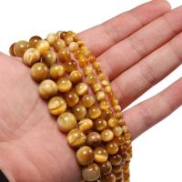 Tiger Eye Beads, polished, durable & Mini & DIY gold 