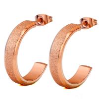 Stainless Steel Hoop Earring, Geometrical Pattern, plated, for woman & frosted 20*5mm 