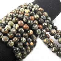 Kambaba Jasper Beads, Round, polished, DIY green Approx 15.7 Inch 