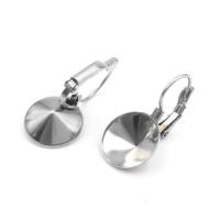 Edelstahl Hebel Ohrring Komponente, 316 L Edelstahl, plattiert, verschiedene Größen vorhanden, metallische Farbe plattiert, verkauft von Paar