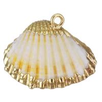 Brass Jewelry Pendants, Shell, with Brass, Shell, gold color plated, DIY, yellow Approx 2mm 
