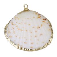 Brass Jewelry Pendants, Shell, with Brass, Shell, gold color plated, DIY, yellow Approx 1.5mm 