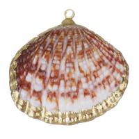 Brass Jewelry Pendants, Shell, with Brass, Shell, gold color plated, DIY, red Approx 1.5mm 