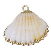 Brass Jewelry Pendants, Shell, with Brass, Shell, gold color plated, DIY, white Approx 2mm 