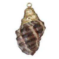Brass Jewelry Pendants, Shell, with Brass, Shell, gold color plated, DIY, brown Approx 1.5mm 