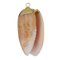 Brass Jewelry Pendants, Shell, with Brass, Shell, gold color plated, DIY, light red Approx 1.5mm 