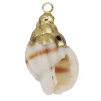 Brass Jewelry Pendants, Shell, with Brass, Shell, gold color plated, DIY, white Approx 1.5mm 