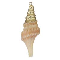 Brass Jewelry Pendants, Shell, with Brass, Shell, gold color plated, DIY, light red Approx 1.5mm 