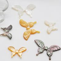 Shell ювелирные изделия кабошон, Ракушка, бабочка, резной, DIY & разный размер для выбора, Много цветов для выбора, продается PC
