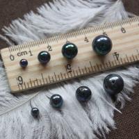 Half Drilled Shell Beads, Shells Fossil, with Shell Pearl, Round, DIY black 