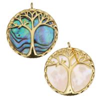 Brass Shell Pendants, with Shell, plated, fashion jewelry & DIY nickel, lead & cadmium free Approx 1.5mm 