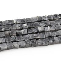 Abalorios de Labradorita, Piedra natural, pulido, Bricolaje, negro, 6x6mm, Vendido por Sarta