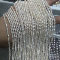 Perles nacres baroques de culture d'eau douce , perle, Rond, naturel, DIY & styles différents pour le choix, plus de couleurs à choisir, 2-3mm cm, Vendu par brin