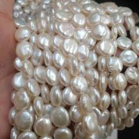 Münze Süßwasser Zuchtperlen, Perlen, rund, natürlich, natürliche & DIY, weiß, 11mm, verkauft von Strang