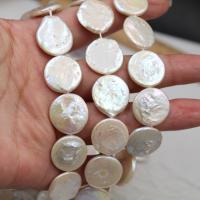 Coin Cultured Freshwater Pearl Beads, Round, natural, natural & DIY, white 