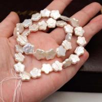 Perlas Cultivadas Renacidas de Agua Dulce, perla, Estrella, natural, natural & Bricolaje, Blanco, 11mm, 35PCs/Sarta, Vendido por Sarta