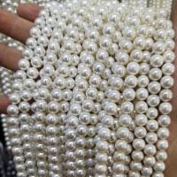 Round Cultured Freshwater Pearl Beads, Shell Pearl, polished & DIY white, 2-14mm 