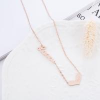 Stainless Steel Jewelry Necklace, 316L Stainless Steel, plated, fashion jewelry & for woman, 21cm-50cm 