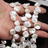 Keshi Cultured Freshwater Pearl Beads, irregular, natural & DIY, white, 12-15mm cm 
