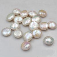 Pièce de culture des perles d'eau douce, perle d'eau douce cultivée, Plat rond, naturel & DIY, blanc, 13-14mm, Vendu par PC