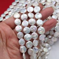 Pièce de culture des perles d'eau douce, perle d'eau douce cultivée, Plat rond, naturel & DIY, blanc, 11mm cm, Vendu par brin