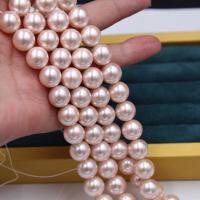 perle de coquillage teint, coquille, Rond, naturel & DIY & multiple tailles pour le choix, rose, 4-14mm, Vendu par brin